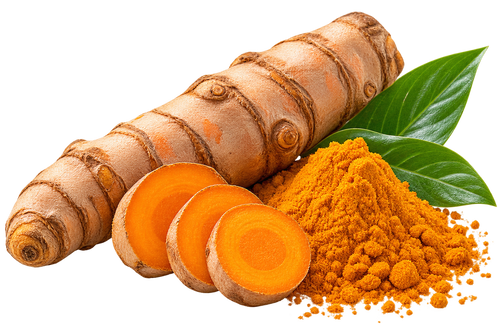 CurcuWIN® — Turmeric/Curcumin extract, OmniActive India